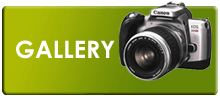 Photo Gallery